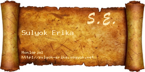 Sulyok Erika névjegykártya